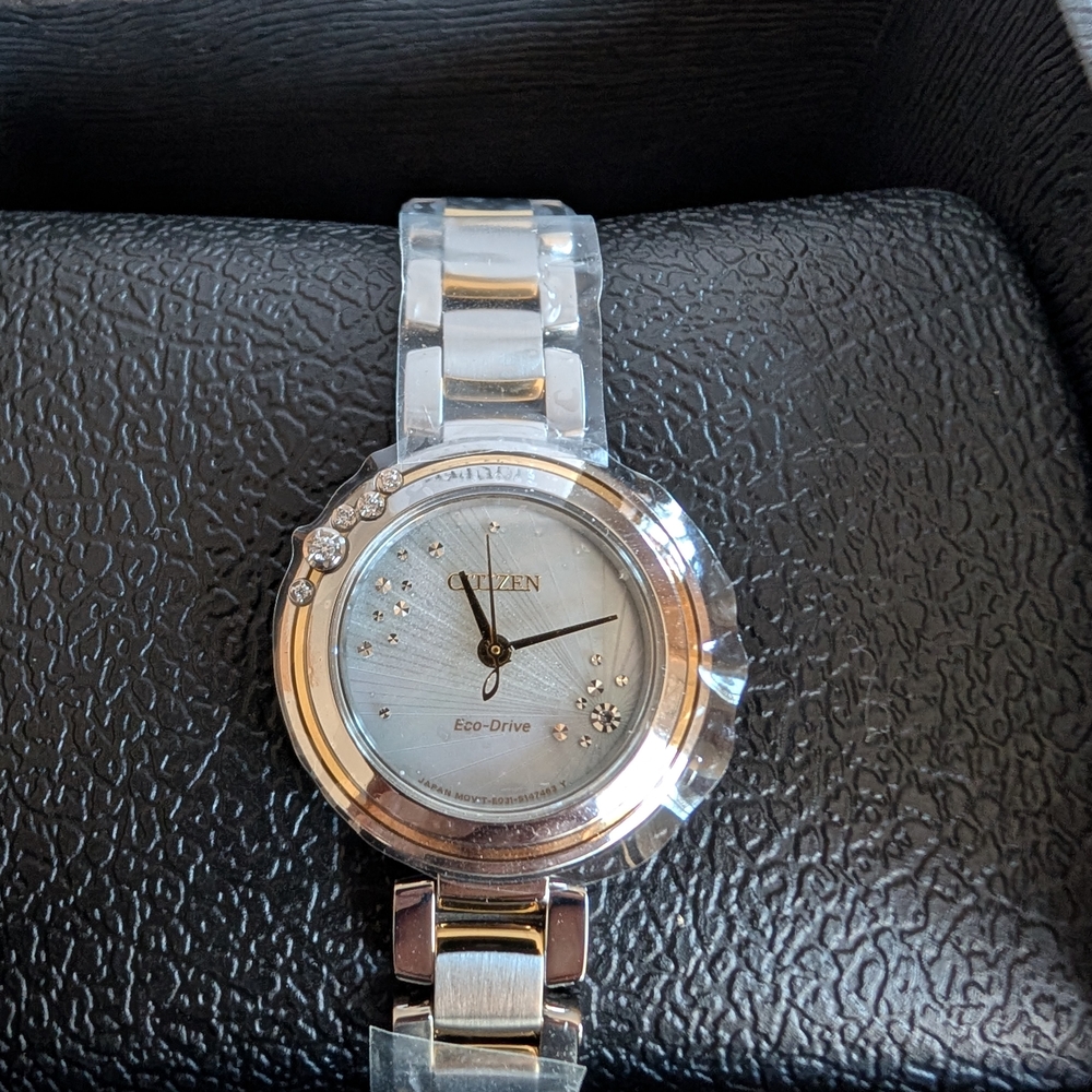 Citizen Eco-Drive Watch Orig $975